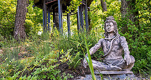 Herrliche Waldlandschaft - Bayerischer Wald